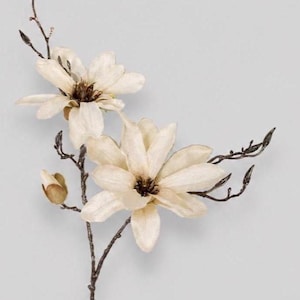 34" Artificial Magnolia Stems, Faux Cream Magnolia Flower Spray, Silk Flowers, Artificial Flowers, Vase Filler, Floral Supply image 1