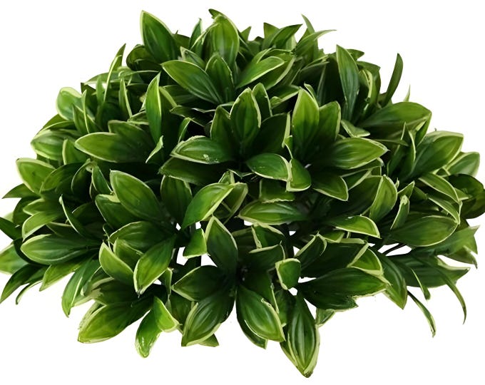 Privet Bush Greenery Half Sphere, Floral Table Centerpiece
