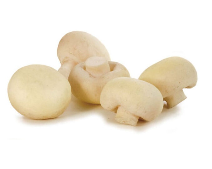 Set of 5 Artificial Mushrooms