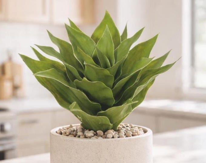 Artificial Agave Plant, Faux Succulent Greenery, Modern Desert Plant Decor - 13"