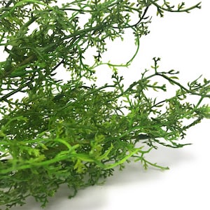 16 Sweet Annie Fern Bush-Artificial Greenery-Filler Greenery-Everyday Greenery-Vase & Bouquet Filler-Faux/Artificial Foliage-Floral Supply afbeelding 4