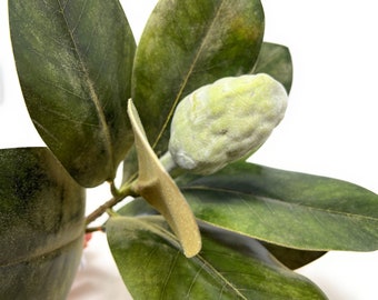 16" Artificial Magnolia Leaf Stems with Bud, Magnolia Leaf Spray, Farmhouse Greenery, Vase Filler, Floral Supply