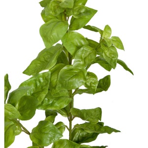 24" Artificial Faux Basil Plant-Artificial Herbs-Herb Plants-Kitchen Herbs-Farmhouse Herbs-Kitchen Greenery-Kitchen Decor-Floral Supply