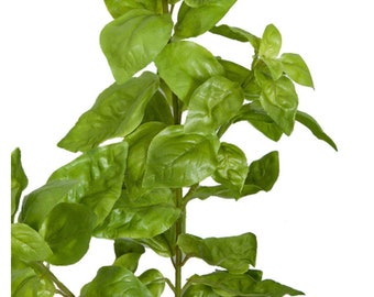 24&quot; Artificial Faux Basil Plant-Artificial Herbs-Herb Plants-Kitchen Herbs-Farmhouse Herbs-Kitchen Greenery-Kitchen Decor-Floral Supply
