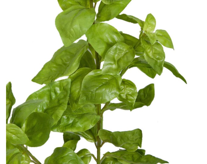 24" Artificial Faux Basil Plant-Artificial Herbs-Herb Plants-Kitchen Herbs-Farmhouse Herbs-Kitchen Greenery-Kitchen Decor-Floral Supply