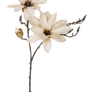 May include: A single stem of artificial magnolia flowers with two cream-colored blossoms and brown stems.
