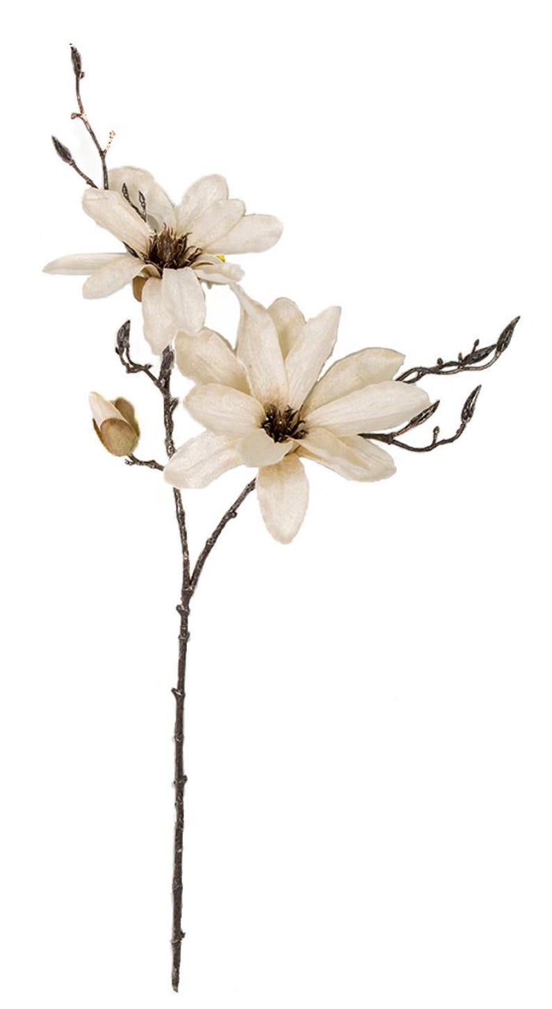 May include: A single stem of artificial magnolia flowers with two cream-colored blossoms and brown stems.