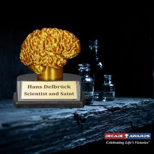 May include: Gold brain-shaped award with a black base and a plaque that reads "Hans Delbrück Scientist and Saint". The award is on a dark wooden surface. The image also includes the text "DECADE AWARDS Celebrating Life's Victories".