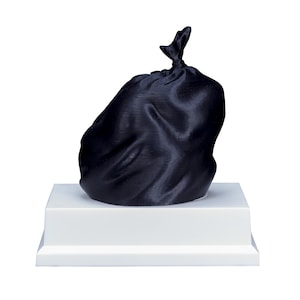 Engraved Trash Bag Last Place Trophy with Free Custom Engraving: Funny Gag Gift - 4.5 Inch image 7