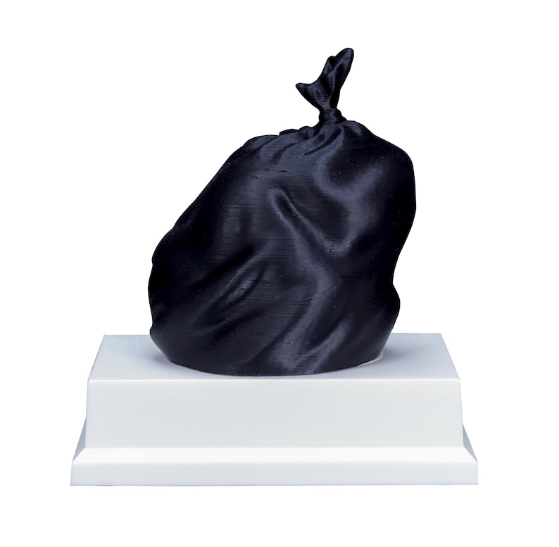Engraved Trash Bag Last Place Trophy with Free Custom Engraving: Funny Gag Gift - 4.5 Inch image 7