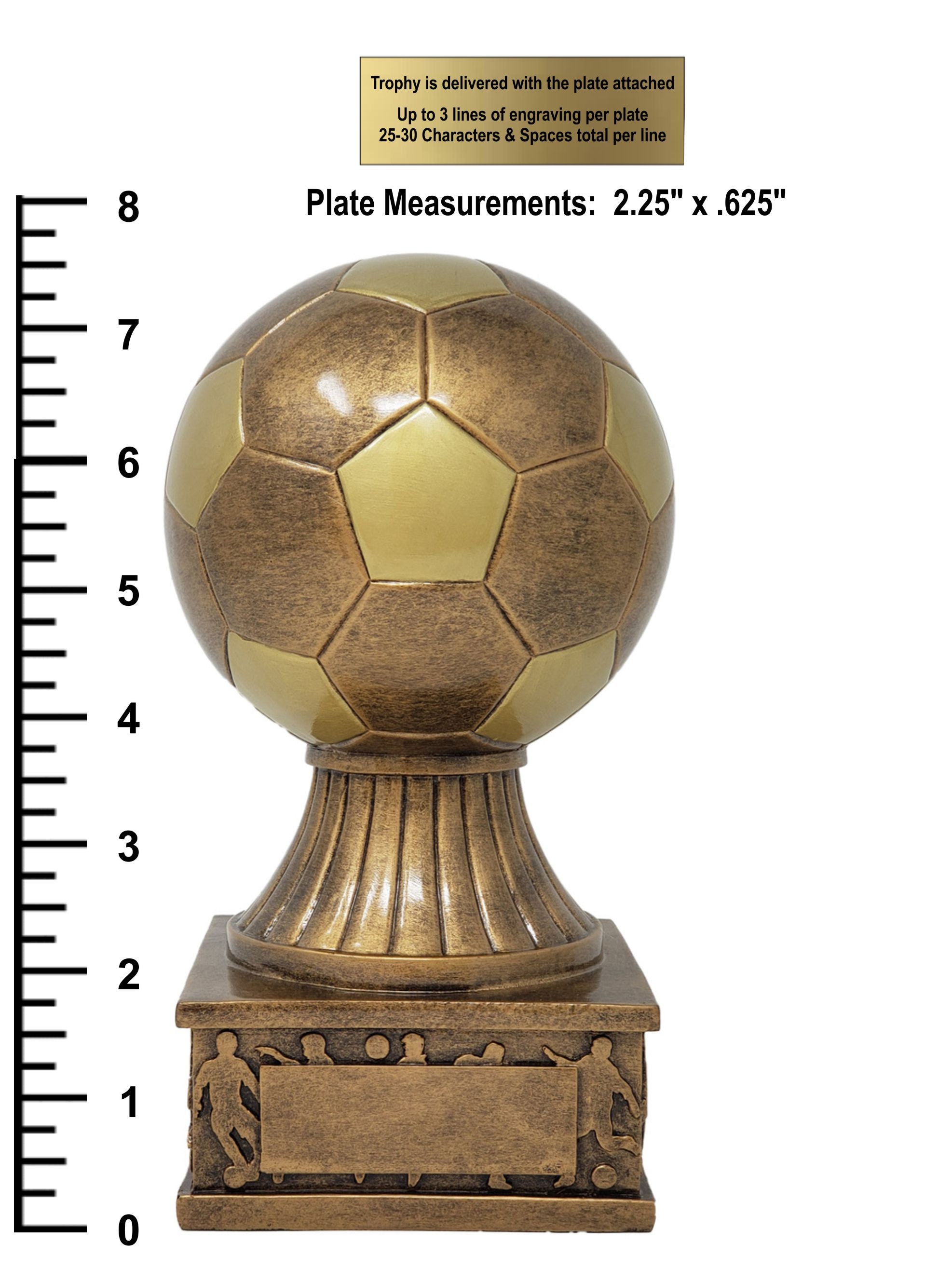 Achetez La Récompense Parfaite : Trophée Ballon De Foot - Cp4336b