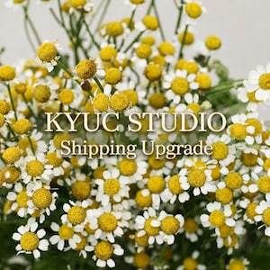 Shipping Upgrade By KyUc Studio: Select Your Delivery Speed (FedEx or Standard)