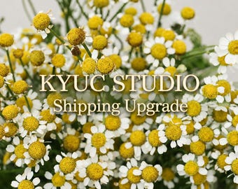 Shipping Upgrade By KyUc Studio: Select Your Delivery Speed (FedEx or Standard)