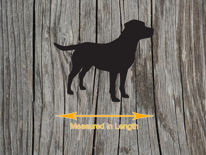 Puede incluir: Una silueta negra de un perro de pie de perfil. Debajo del perro hay una flecha horizontal naranja de doble punta con el texto Measured in Length, que indica la dimensi&oacute;n medida desde el hocico hasta la cola de la figura del perro.