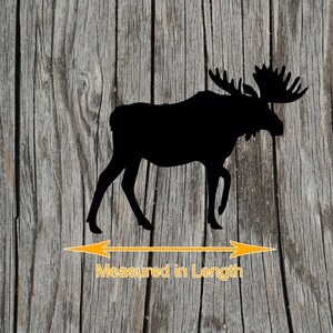 May include: A solid black silhouette of a moose standing in profile, featuring large antlers and four legs. Below the moose, an orange double-headed arrow spans the width of the animal, accompanied by the orange text Measured in Length.