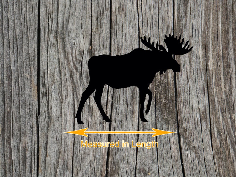 May include: A solid black silhouette of a moose standing in profile, featuring large antlers and four legs. Below the moose, an orange double-headed arrow spans the width of the animal, accompanied by the orange text Measured in Length.