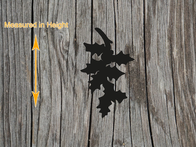 May include: A black silhouette of a holly leaf sprig with jagged edges. To the left, a yellow double-headed arrow indicates the vertical orientation with the text Measured in Height written in yellow above the arrow.