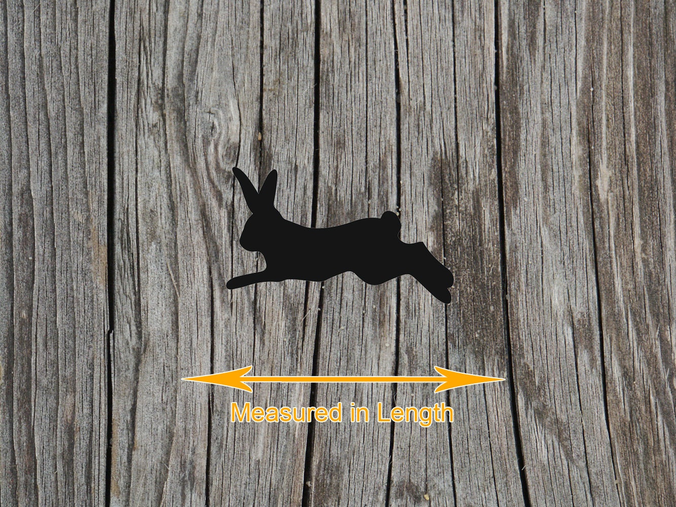 Rabbit - Wildlife - Laser Cut Unfinished Wood Cutout Shapes - Always ...