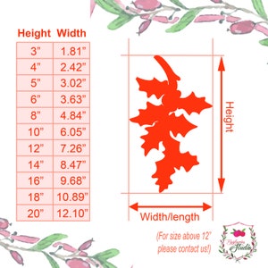 May include: A red holly leaf silhouette graphic with a size chart showing heights from 3 inches to 20 inches and corresponding widths from 1.81 inches to 12.10 inches. The text includes Height, Width, and the Bayberries Studio logo.