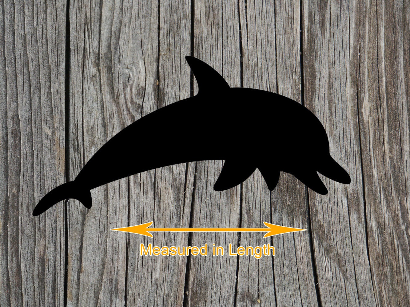 laser dolphin america laser dolphin america