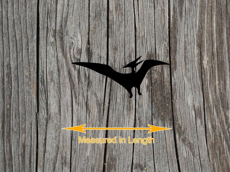 May include: A black silhouette of a pterodactyl in flight. Below the figure, a yellow double-headed arrow spans the width of the wingspan, accompanied by the orange text Measured in Length, indicating the dimension being measured.
