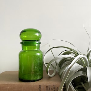 May include: A green glass apothecary jar with a rounded lid. The jar is cylindrical with a slightly wider base and a narrow neck. The jar is sitting on top of a stack of old books. A green plant is to the right of the jar.