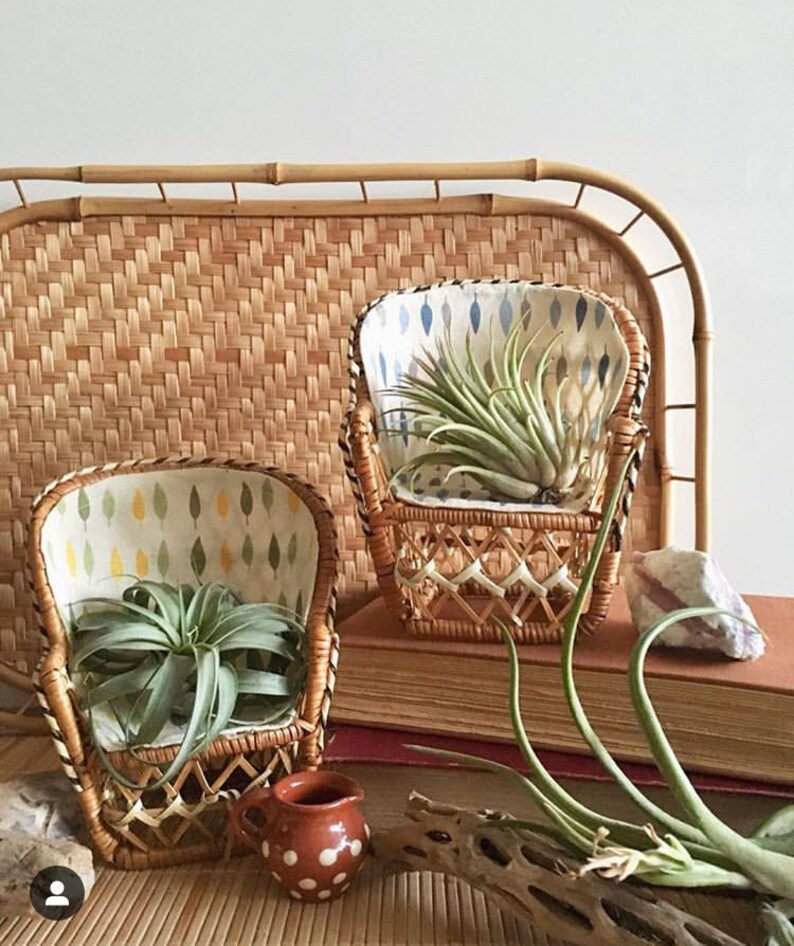mini wicker chair