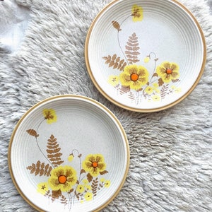 Vintage 1980s  Mikasa Japan Dinner Plates/Set of 2 Heavy Ceramic Nature’s Song Fernflowers Plates/Two Speckled Japanese Pottery Dinnerware