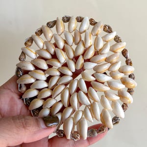 Lot de 3 sous-verres vintage en coquillages cauris/trois sous-verres en rotin tissé coquillages naturels faits à la main/dessous de plat en coquillages Boho Puka