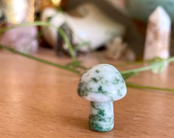 Mini Agate Moss Mushroom / Carved Crsytal Mushroom Decor / Mushroom Moss Agate Crystal Garden Display