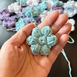 May include: A light blue crocheted flower with five points. The flower is held in a hand.