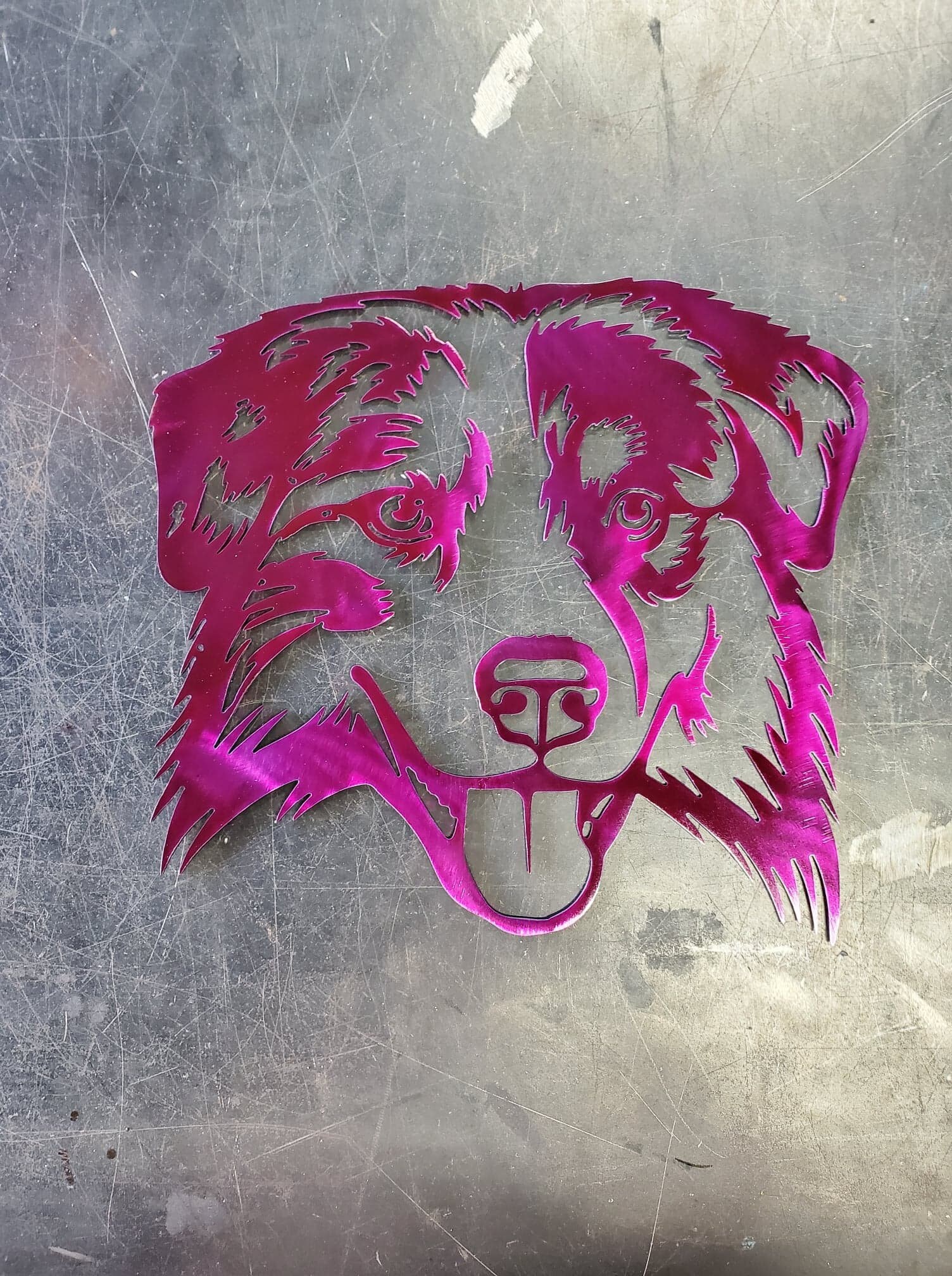 12 & 18 Australian Shepherd Metal Art Wall Etsy