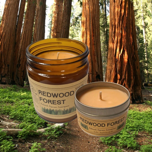 Redwood Forest | USA Made | Rustic | Outdoorsy | Natural Soy Wax Candle | National Parks | Woodsy Candle | Outdoor Enthusiast | Hiking Gift