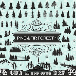 Pino Abete Albero Sempreverde Foresta Bundle SVG e PNG, Silhouette Foresta, Foresta all'aperto, File di taglio Foresta, Foresta di pini, File di taglio Cricut