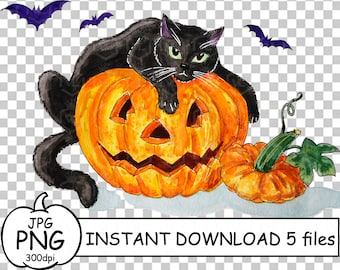 Halloween Cat on Pumpkin png Digital instant Download PNG printable digital png image Halloween clipart shirt design