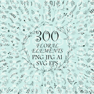 Elementi floreali disegnati a mano 300 pezzi file PNG con sfondo trasparente Doodle Botanical Leaf Clipart Illustrazione floreale di nozze