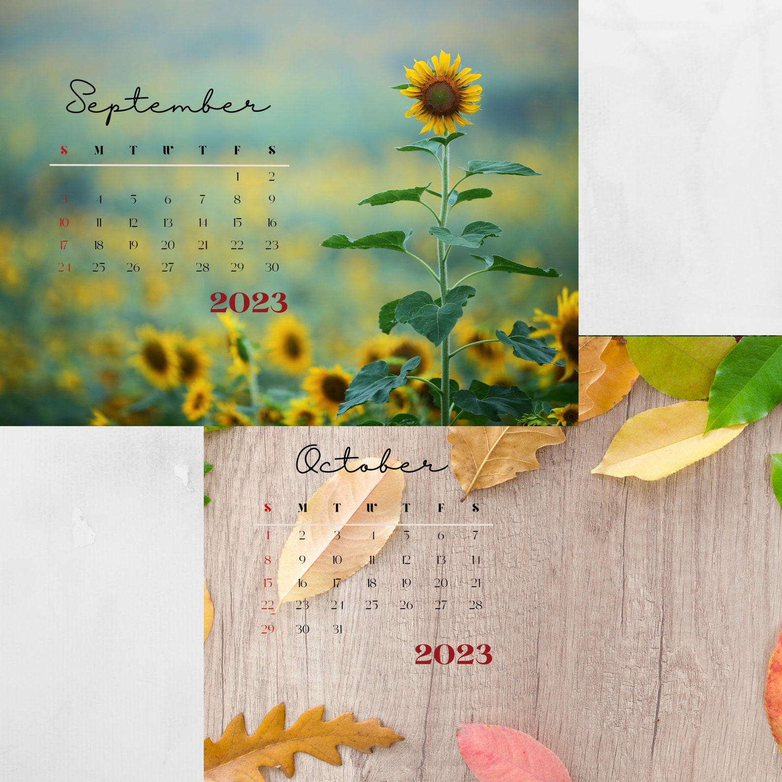 2023 Calendar Printable Seasons Calendar Nature Scenes Etsy Canada