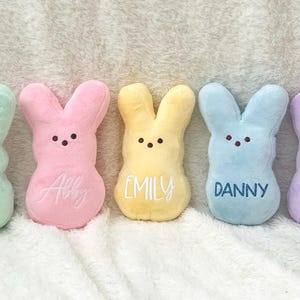May include: Five plush bunny toys in pastel colors: green, pink, yellow, blue, and purple. Each bunny has embroidered eyes and a name embroidered on the belly. The names are Abby, Emily, and Danny.
