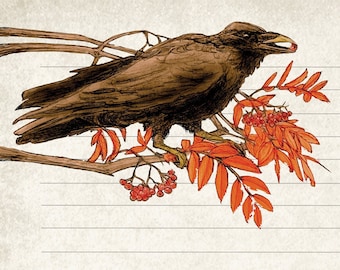 Journal Pages - Ravens, Crows and Rooks