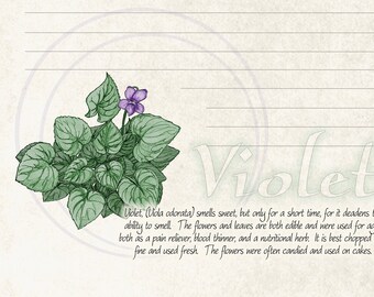 Herbal Cards - Botanicals