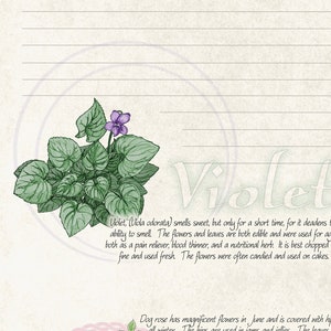 Cartes à base de plantes - Botaniques