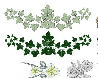 Flower Borders, Art Nouveau Motifs