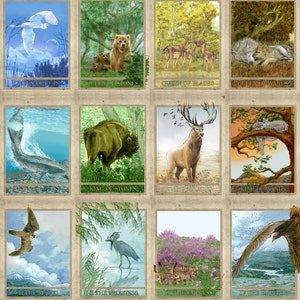 Nature Tarot Cards image 7