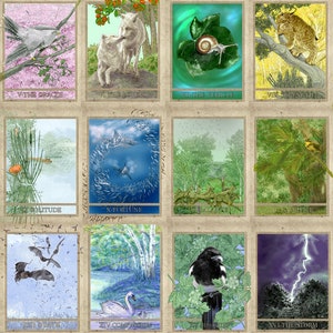 Nature Tarot Cards - Etsy