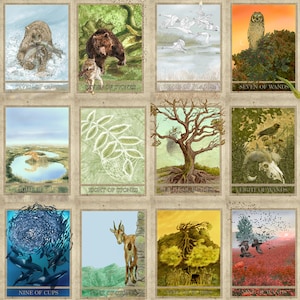 Nature Tarot Cards image 5