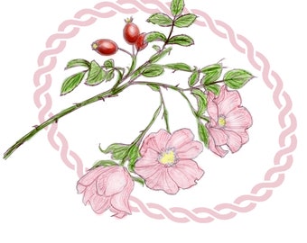 Journal Page Botanical - Rose