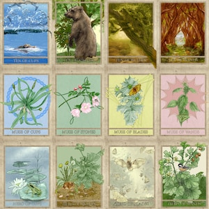 Nature Tarot Cards - Etsy