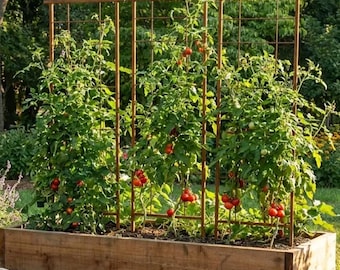 Ultra-durable trellis for vegetables/flowers / Rustic-style trellis