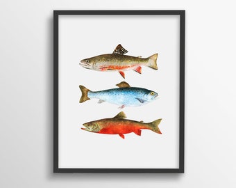 Trout Print, Watercolor Fish, Fish Print, Marine Print, Nautical Print, Fish Printable, Marine Wall Art, Animal Printable, Animal Wall Art