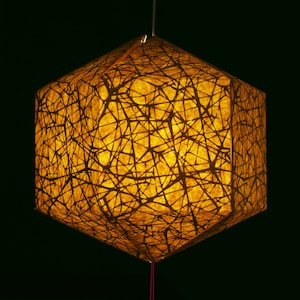 Brownfolds Hex Paper Lantern image 1